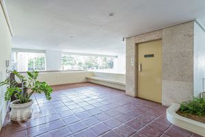 Image 38 - 446206
