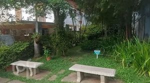 Image 11 - 447433