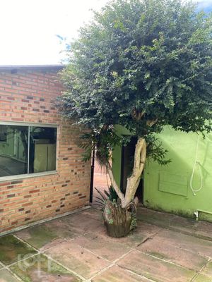 Image 8 - 449343