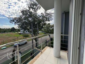 Image 21 - 449689