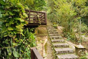 Image 33 - 452786