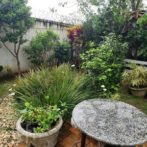 Image 2 - 454308