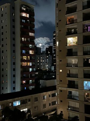 Image 61 - 463263