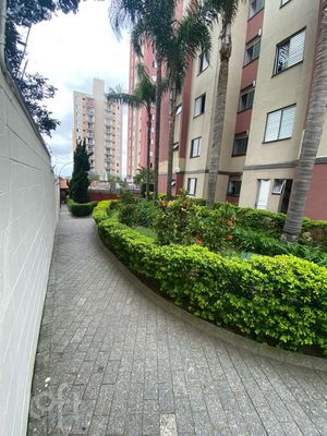 Image 30 - 470569