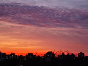 Image 19 - 476497