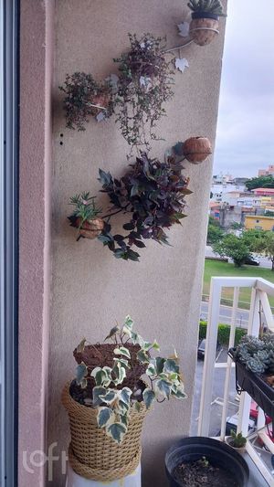 Image 8 - 484774