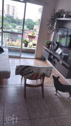 Image 10 - 484774