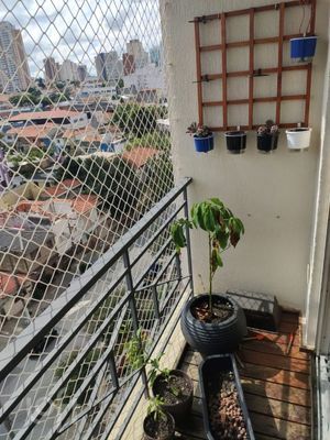 Image 6 - 487910
