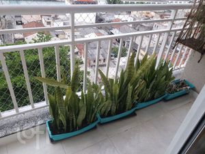 Image 12 - 491490