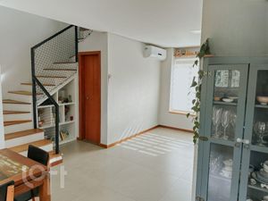 Image 15 - 499098