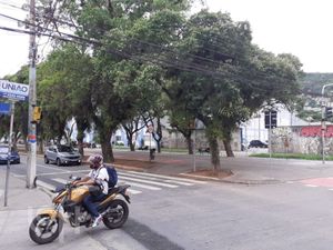 Image 42 - 501260