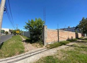 Image 2 - 501473