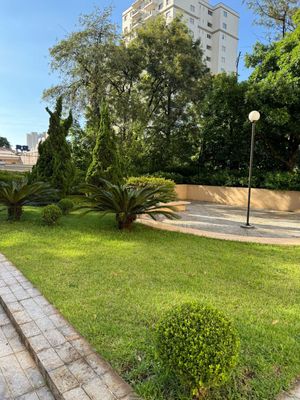 Image 38 - 501495