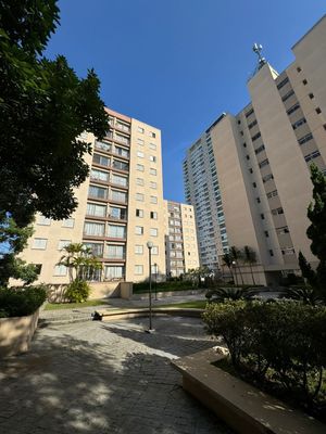 Image 28 - 501495
