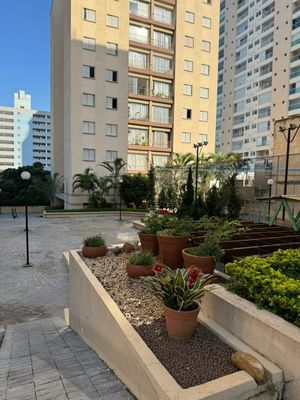 Image 30 - 501495