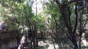 Image 4 - 5023