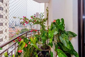 Image 4 - 507249