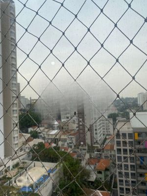 Image 8 - 509351