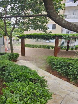 Image 15 - 509404
