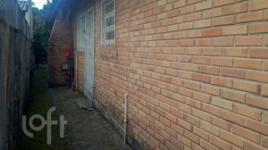 Image 15 - 519466