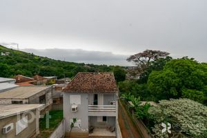 Image 23 - 523305
