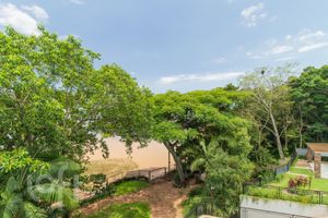 Image 62 - 523356