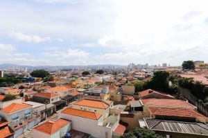 Image 33 - 525387