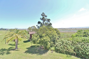 Image 25 - 527516