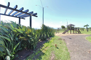 Image 41 - 527516
