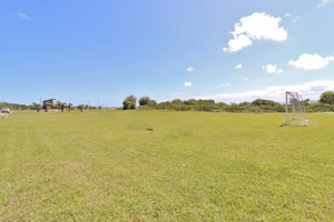 Image 42 - 527516
