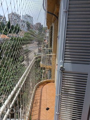 Image 35 - 527958