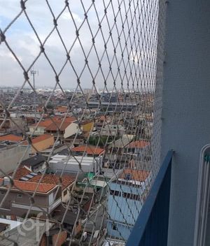 Image 8 - 532585