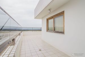 Image 33 - 5356
