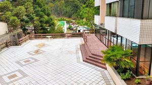 Image 21 - 536566
