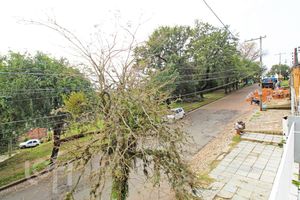 Image 19 - 538531
