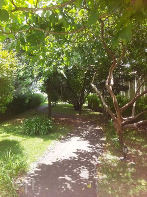 Image 25 - 541046