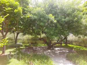 Image 26 - 541046