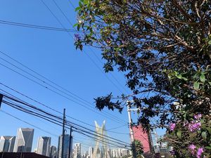Image 21 - 542226