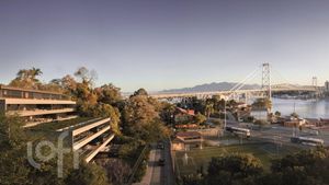 Image 14 - 542961