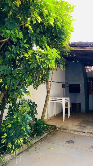 Image 15 - 543256