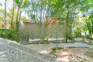 Image 31 - 546598