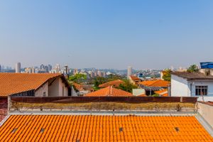 Image 31 - 546832