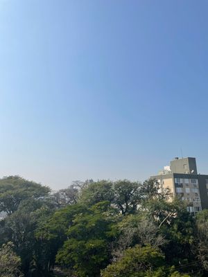 Image 14 - 547863