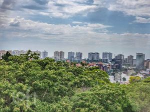 Image 9 - 550172