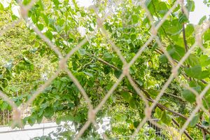Image 25 - 551654