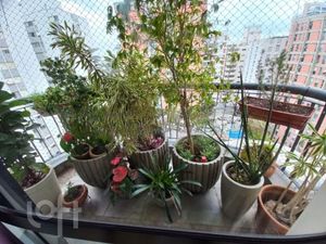 Image 6 - 553198