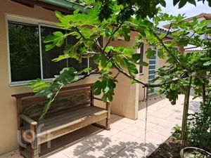 Image 8 - 553301