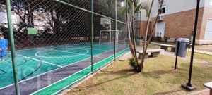 Image 17 - 553429