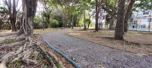 Image 15 - 553429