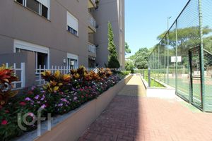 Image 19 - 554467